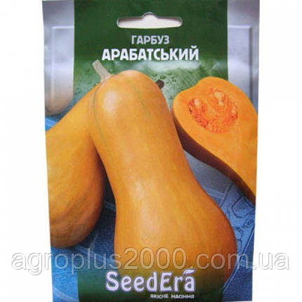 Насіння Гарбуз Арабатська 20 грамів SeedEra, фото 2