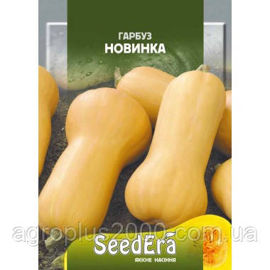 Насіння Гарбуз Новинка 20 грамів SeedEra