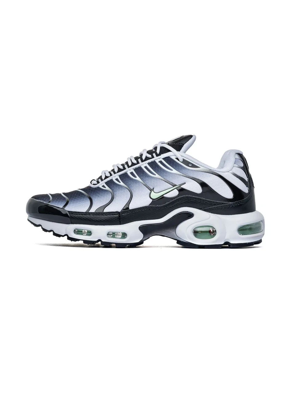 Nike air max Tn plus silver 41