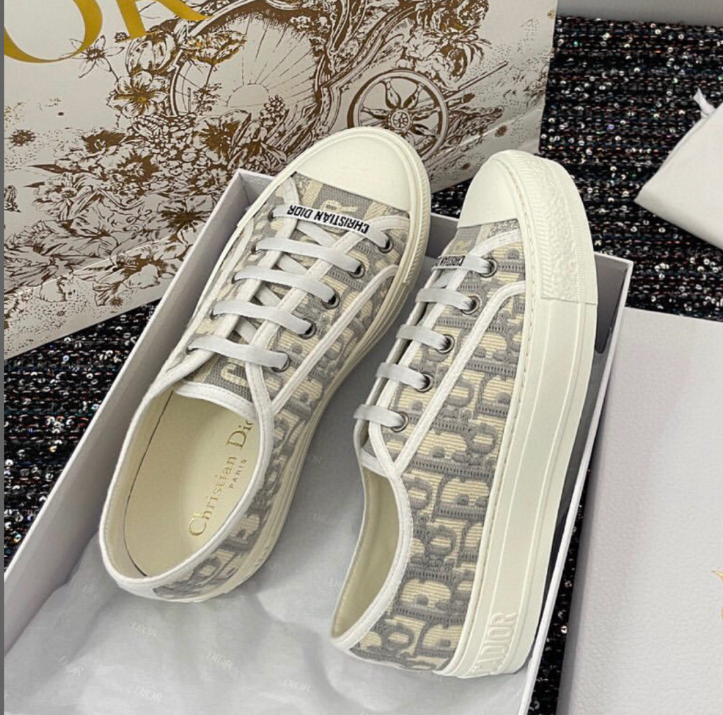 Dior B23 low grey logo 40