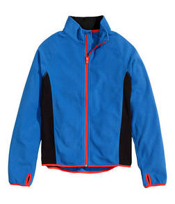 Фліска Німеччина