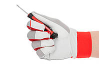 Набір викруток Intertool – PH x SL x T з бітами Storm 36 од., фото 3