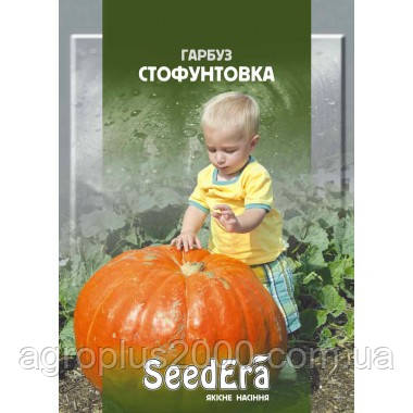 Насіння Гарбуз Стофунтовка 20 грамів SeedEra