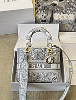 Christian Dior Medium Lady D-Lite Gray