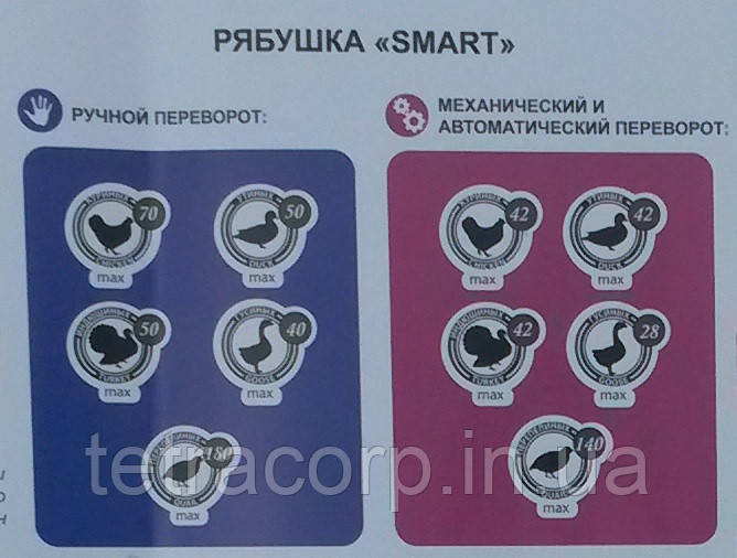 Инкубатор для яиц Рябушка SMART 70, ручной переворот, аналоговый регулятор, тэн - фото 5 - id-p498810508