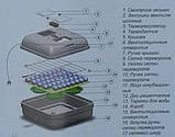 Інкубатор для яєць Рябушка SMART 70, ручний переворот, аналоговий регулятор, тен, фото 6