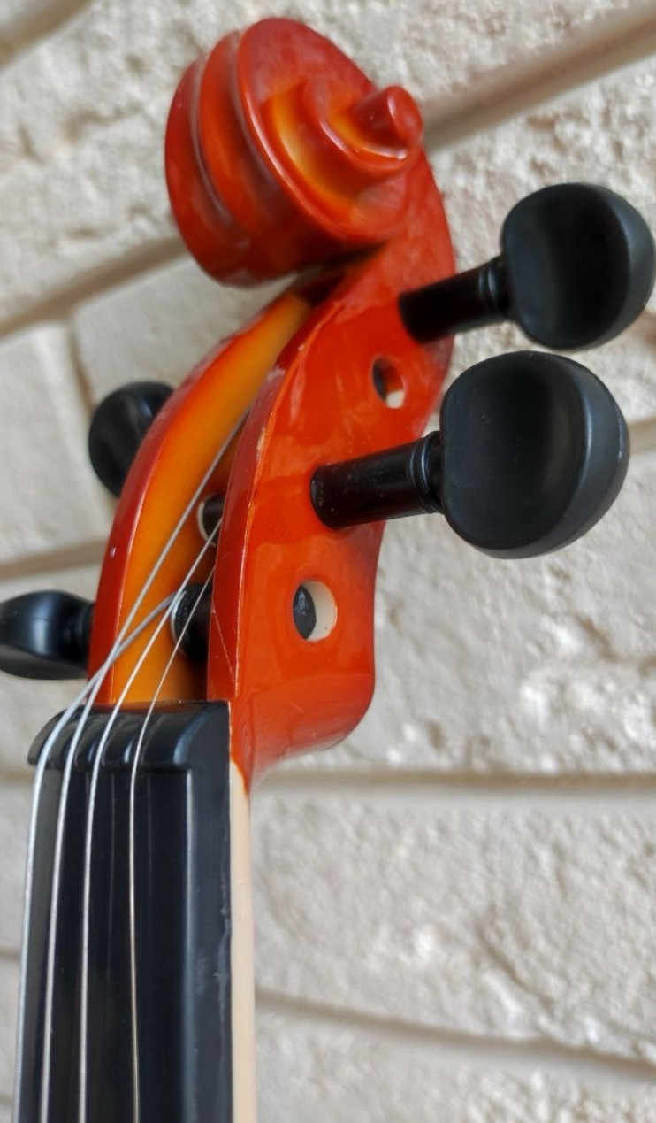 Скрипка (нова) 4/4 у футлярі., фото 1