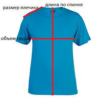 На схемі представлено як правильно провести заміри футболок і поло для замовлення по інтернету.