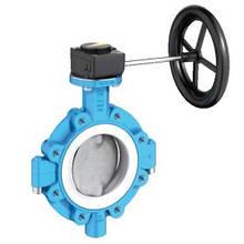 Lug Type Butterfly Valve T 214-C