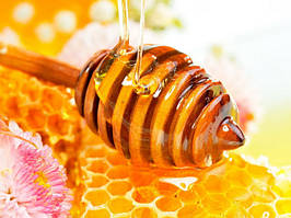 Закупівля меду