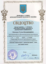 Хто такий патентний повірений і для чого він потрібен?