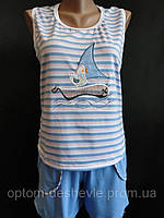 Молодіжні костюмчики з вишивкою