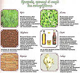 Повна енциклопедія домашніх заготівель, фото 3