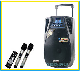 Колонка на акумуляторі Temeisheng SL 12-02 (2 мікрофони, Bluetoth)