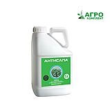 Гербіцид Антисапа (Метрибузин, 700 г/кг) для сої, картоплі, томатів та люцерни, фото 3