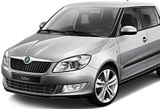 Захист двигуна на Skoda Fabia (2007-2014)