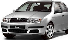 Захист двигуна на Skoda Fabia (1999-2007)