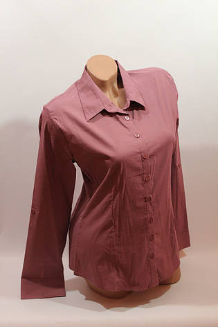 Жіночі однотонні сорочки (бавовна + ликра) Mod-da odnoton. battal збільшені розміри, фото 2