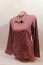 Жіночі однотонні сорочки (бавовна + ликра) Mod-da odnoton. battal збільшені розміри, фото 2