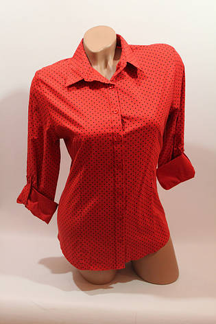 Жіночі однотонні сорочки (бавовна + ликра) Mod-da 5522 горошок червоний, фото 2