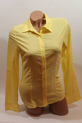 Жіночі однотонні сорочки (бавовна + ликра) ML norma odnot. жовтий, фото 2