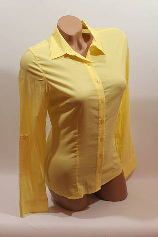 Жіночі однотонні сорочки (бавовна + ликра) ML norma odnot. жовтий, фото 2