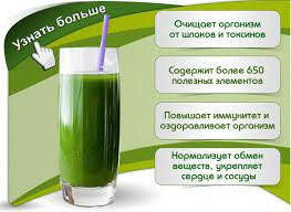 Купить Живая Хлорелла «Био Энергия» 1 л. Для восстановления здоровья ...