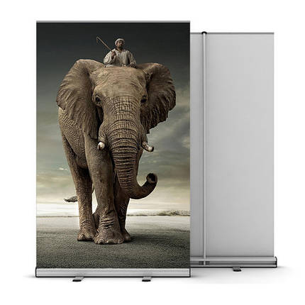 Roll-up Standart 120x200 см (рол ап), фото 1