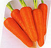 Морква Абако F1 10 грамів, фото 2