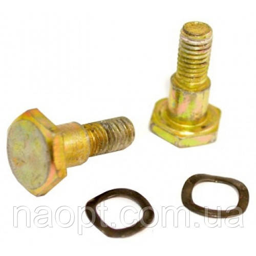 Болти варіатора мотокоси 33 - 43 - 52 см3 2шт, фото 1