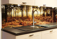 Скляний фартух для кухні, пейзаж осіннього лісу на заході сонця