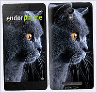 Пластиковий чохол Endorphone на Xiaomi Redmi Note 2 Красивий кіт (3038t-96-26985), 1537B68K6