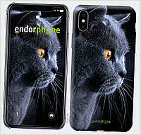 Защитная оболочка на iPhone X кот с янтарными глазами, 13T9A089E7