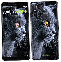 Силіконовий чохол Endorphone на Xiaomi Redmi Note 5 Красивий кіт (3038u-1516-26985) 1E390629K