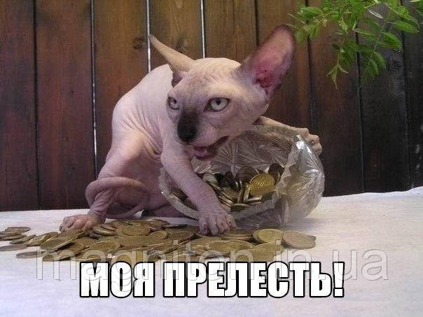 Магніти Приколи