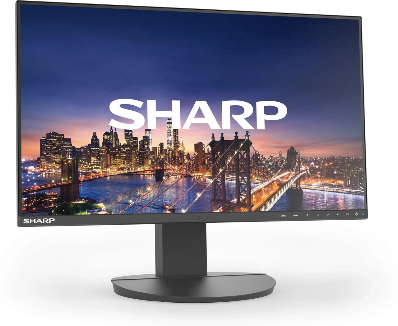 Sharp 24" MultiSync EA241F (60006212) (наЗамовлення), фото 1