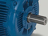 Електродвигун 5,5 кВт АІР132S6/АІР 132 S6/1000 об.хв, фото 5