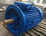 Електродвигун 315 кВт АІР 355М4/АІР 355 М4/1500 об.хв, фото 4