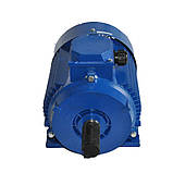 Електродвигун 315 кВт АІР 355М4/АІР 355 М4/1500 об.хв, фото 3