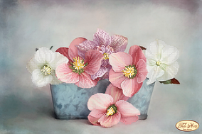 Вишивка бісером "Боке. Японські анемони" 24х37