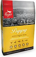 Корм для собак Orijen Puppy 6 кг сухий для щенят