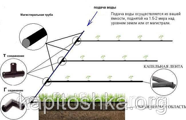 Полив капельной системы ( в наборе 200м кап. ленты + фитинги и т.д.) - фото 2 - id-p33578759