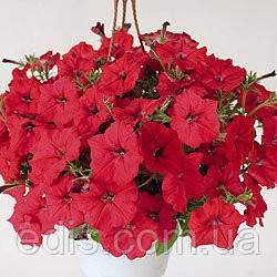 Петуния ампельная Лавина Красная F1 10 шт., дражированные семена в ...