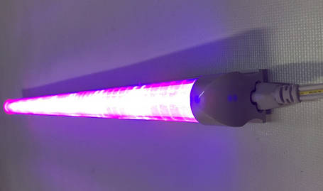 Світлодіодний фітосвітильник Т8-2835-0.6 FS 8W IP20 лінійний (fito spectrum led) Код.58831, фото 1