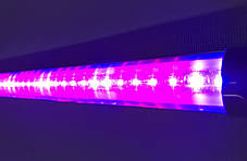Світлодіодний фітосвітильник Т8-2835-0.6 FS 8W IP20 лінійний (fito spectrum led) Код.58831, фото 3