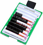 Lashholder "CiliaPro" [green], фото 3