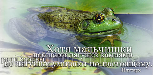 Магніти Афоризми