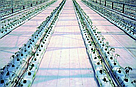 Агротканина біла (для теплиці) Agrojutex 100 г/кв.м 2,10 х 100 м, фото 3