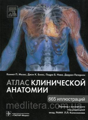 Кеннет П., Мозес К. П., Бенкс Дж.К., Нава П. Б. Атлас клінічної анатомії. 665 ілюстрацій