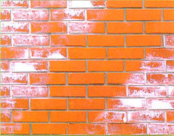 Білі плями на стіні Чому плями від поливу